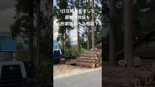 長井市 屋敷木伐採 見積無料 安心作業#shorts