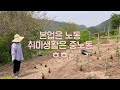 방치된 곳을 모던한 정원으로 만들어보기 그라스와 번식력짱 초화류의 만남 농부의 시골정원