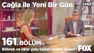 Böbrek ve idrar yolu taşları neden oluşur? Çağla ile Yeni Bir Gün 161. Bölüm