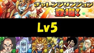 【パズドラ】チャレンジダンジョンLv5 ノエルドラゴン・ブランがもらえるぞ！