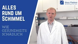 Wie gesundheitsschädlich ist Schimmel? Tipps vom Spezialisten Top Serie 2/6