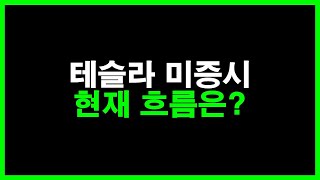 테슬라 미증시 현재 흐름은? 저는 이렇게 생각 합니다