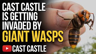 Cast Castle Is Getting Invaded By Giant Wasps