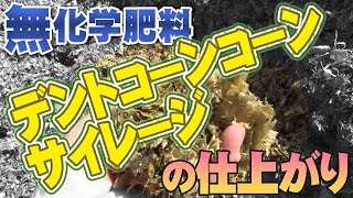 【サイレージ開封】無化学肥料のデントコーンサイレージに活性誘導水を添加したらどうなった？【DNW238】