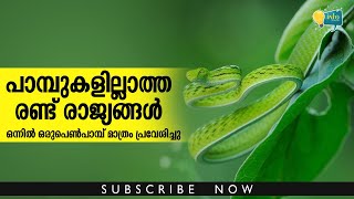 പാമ്പുകളില്ലാത്ത രണ്ട് രാജ്യങ്ങള്‍; ഒന്നില്‍ ഒരുപെണ്‍പാമ്പ് മാത്രം പ്രവേശിച്ചു