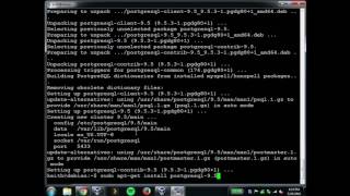 Managing OS Provided PostgreSQL Packages