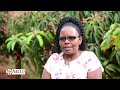 Strengthening Coffee Value Chains in Kenya - National Coffee Cooperative Union Ltd.