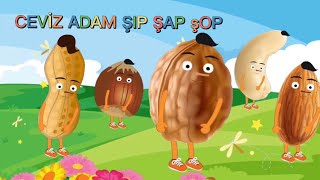 Badem Adam Şip Şap Şop / Fıstık / Fındık / Kaju /Şarkılarla Kuruyemişleri Öğreniyoruz / Melody TV