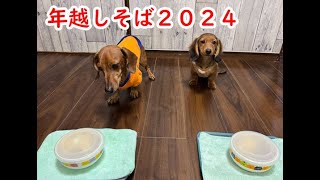 年越しそば2024+おまけ