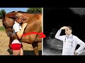 Horse Keeps Hugging Woman – When Doctor Looks At Ultrasound He Calls The Police