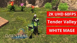 FFXIV Dawntrail: Tender Valley WHITE MAGE GAMEPLAY 155 [2k/MAX PRESET]