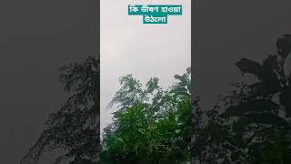 আজ বেরিয়ে ছিলাম🚶 পরিবেশটা🏞️ উপভোগ করতে🤷🥰#shots #youtubeshorts #nature #naturelovers #youtube #ll