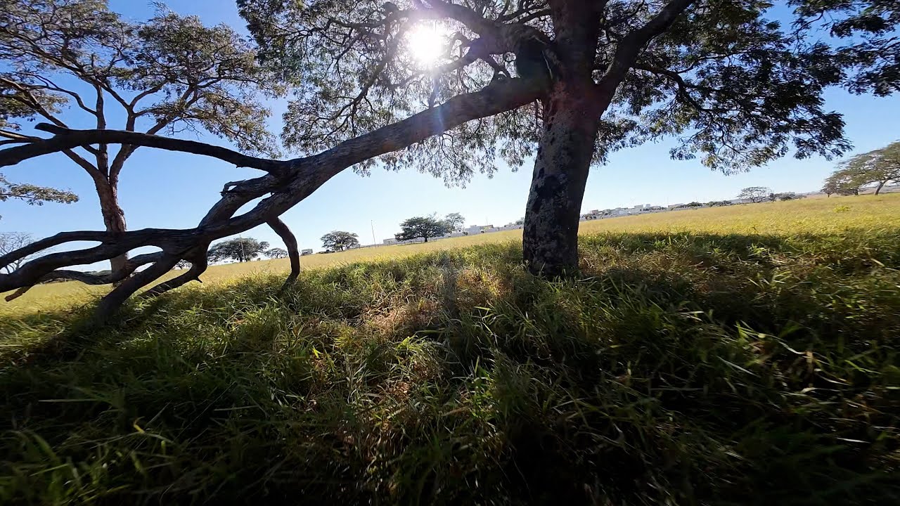 Drone Fpv Freestyle Youtube