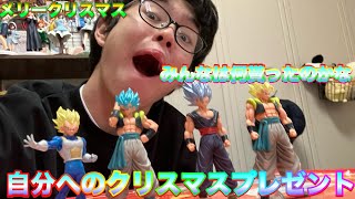 自分の欲しいものがなかったので自分のお金でクリスマスプレゼント紹介してみた(ドラゴンボール  SAIYAN EDITION)