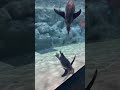 沖縄県dmmかりゆし水族館のペンギンさん🐧 penguin japan okinawa aquarium cute 沖縄 水族館 沖縄県 ペンギン 可愛い 日本 shorts