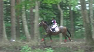 2016年北日本学生馬術大会 総合馬術競技 クロスカントリー競技 4年目×柏晴号