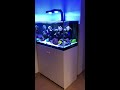 my reef tank 【テスト】