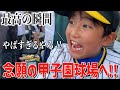 初野球観戦で起きたまさかの奇跡に大興奮！！【阪神タイガース】