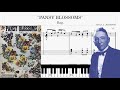 Pansy Blossoms (1909) Rag Piano - Charles Leslie Johnson (Sheets Tutorial Piano score)