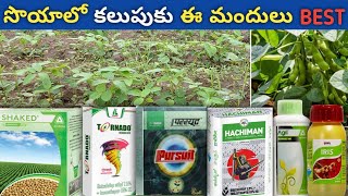 సొయాచిక్కుడులో కలుపు నివారణ | Shaked, agil, upl iris,tornado,pursuit herbicides | weed control