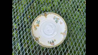 XRF Testing a Noritake Made In Japan Coventry Pattern Saucer for Lead, Cadmium, Mercury, & Arsenic