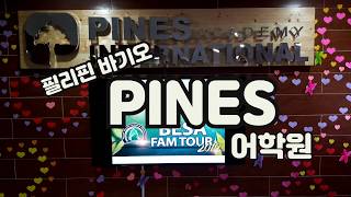 바기오 어학연수 파인스 어학원 PINES 수업이 궁금하신가요?