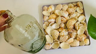 Bottle Decoration With Sea Shell | Home Decorating Ideas | Seashell Bottle Art