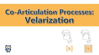 Co-Articulation Processes: Velarization