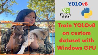 YOLOv8 | Train YOLOv8 on Custom dataset in Windows GPU