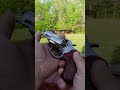 grapefruit b gone ruger sp101