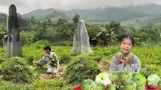 It's so sad when an orphan girl goes to visit her parents' graves and they are all ruined