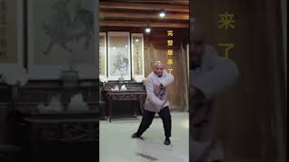 少林心意把，识货的点赞收藏#武术 #功夫 #少林功夫