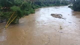 Flooded Vamanapuram River