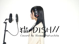 猫 / DISH// covered by 松下玲緒菜