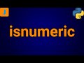 Python isnumeric