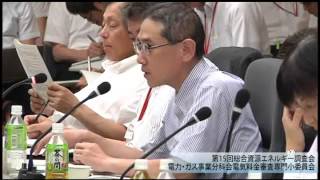 第１５回電気料金審査専門小委員会②