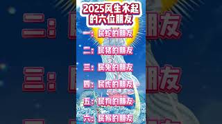 2025风生水起的六位朋友