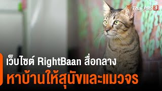 เว็บไซต์ RightBaan สื่อกลางหาบ้านให้สุนัขและแมวจร : ประเด็นสังคม (8 ก.พ. 64)