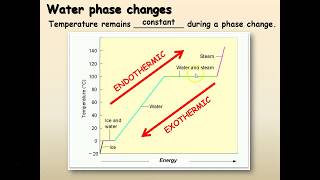 Endothermic vs Exothermic Reactions