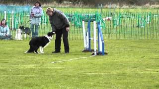 Tosca Intro Triple A Agility BAA 05.05.2012 Waxham Sands