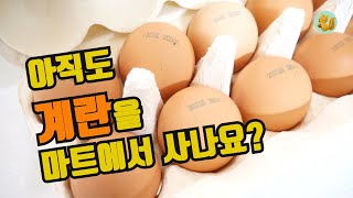 최상급 계란을 마트 대비 50% 더 싸게 사는 방법, 계란은 좋은 것 드셔야 해요!