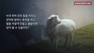 [바이블칼리지 강의] 늑대가 양이 될 수 있습니까? - 기독교 안에 있는 서로 다른 3가지 복음 (마지막 사명 앤드류 강)