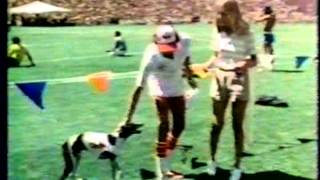 1981 ESPN TV World Frisbee Championships Ashley Whippet Demo