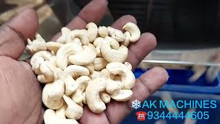 Cashew Peeling Machine 250kg per hour by AK Machines 9344444605