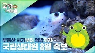 [국립생태원] 국립생태원 8월 뉴스 속보!