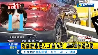 好痛...新北一處停車場入口\