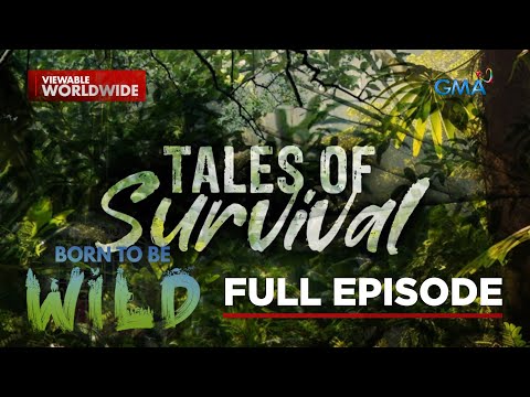 Tales of survival (Full Episode) Born to be Wild