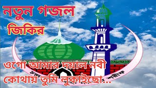 ওগো আমার দয়াল নবী কোথায় তুমি লুকাইছো _নতুন জিকির গজল ২০২৪ || চন্দ্রপাড়া গজল ২০২৪