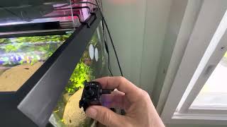 Mini aquarium pump, 4.8 W USB powered adjustable flow automatic dry cut off 12 bucks online.