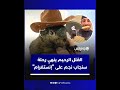 بعد مصادرته من صاحبه.. القتل الرحيم ينهي رحلة سنجاب مشهور على 